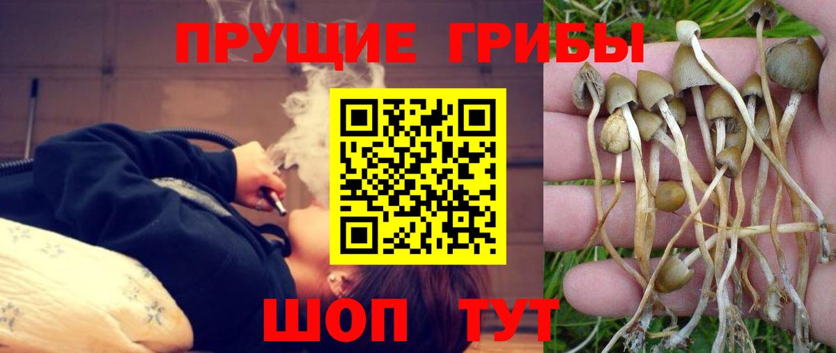 Фролово  Галлюциногенные грибы Cubensis  Галлюциногенные грибы Psilocybe  закладки  Вход с VPN 